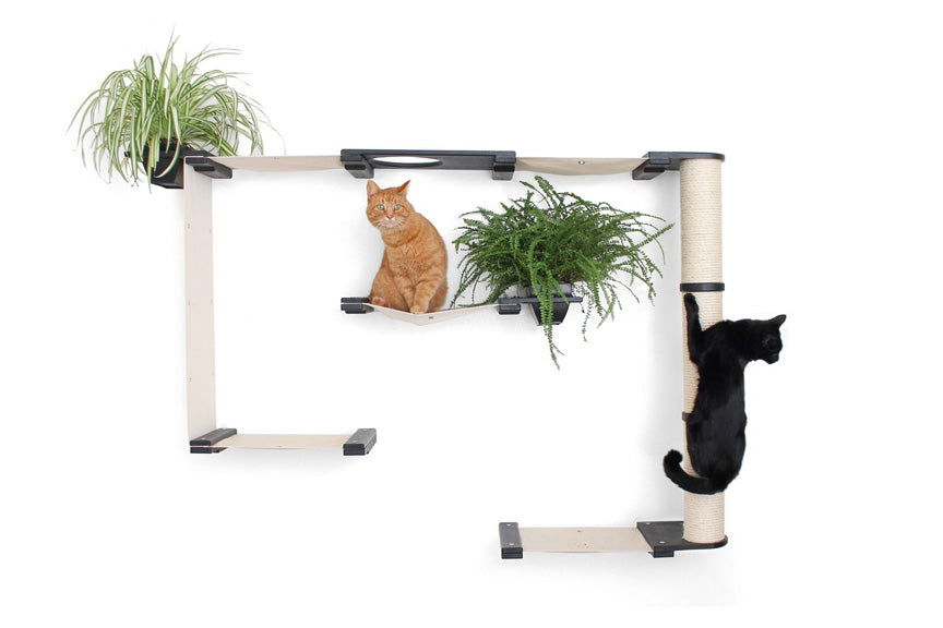 Cats playing the Mini Gardens Cat Condo