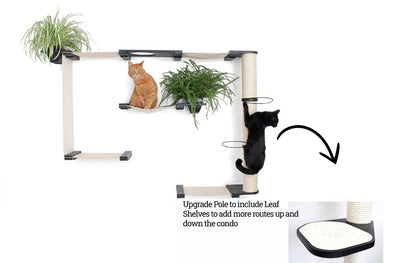 Product media