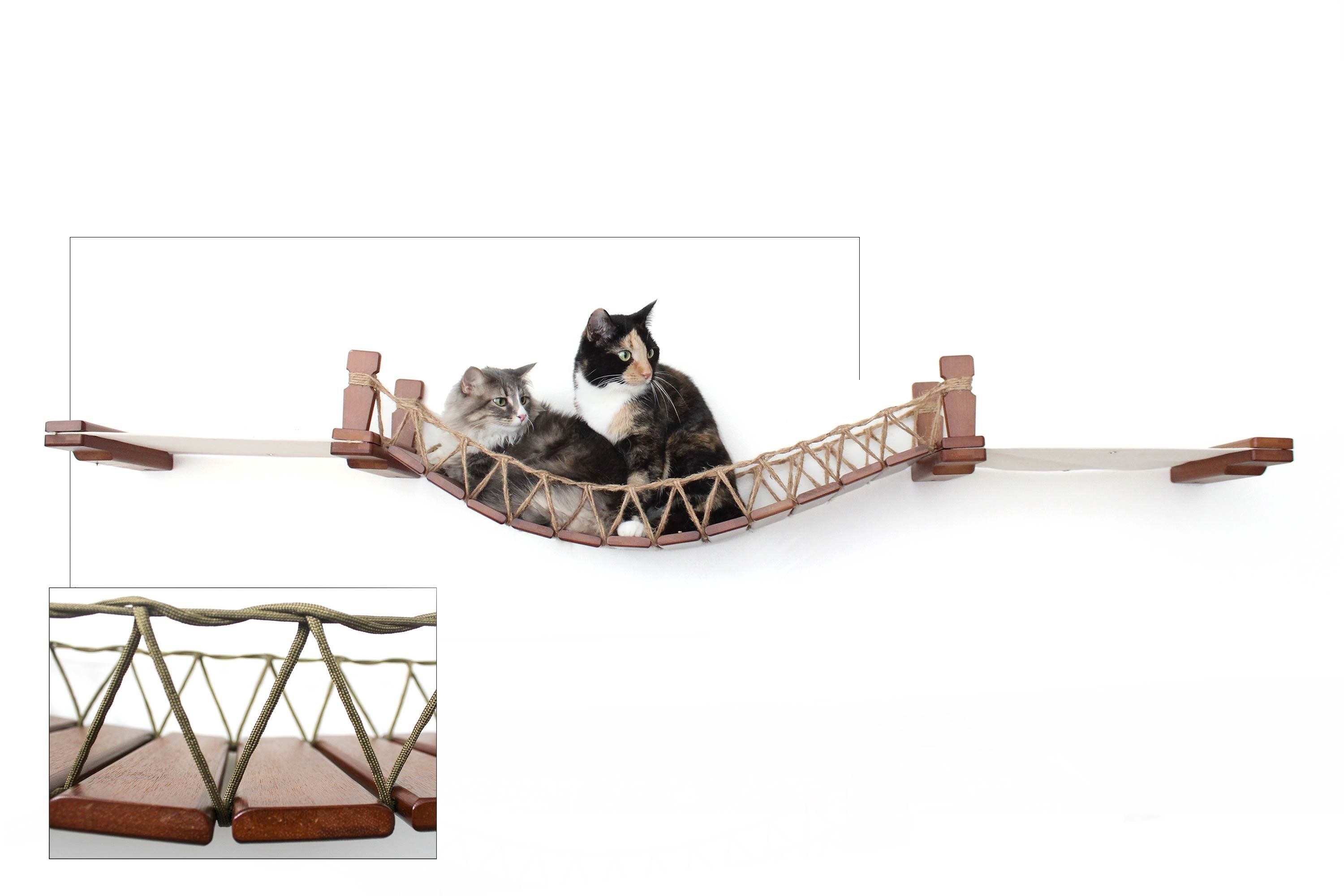 Cats on Bridge Lounge