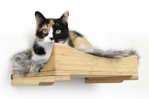 black and orange cat on cat shelf 