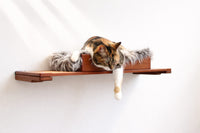 cat lounging on a plush cat bed