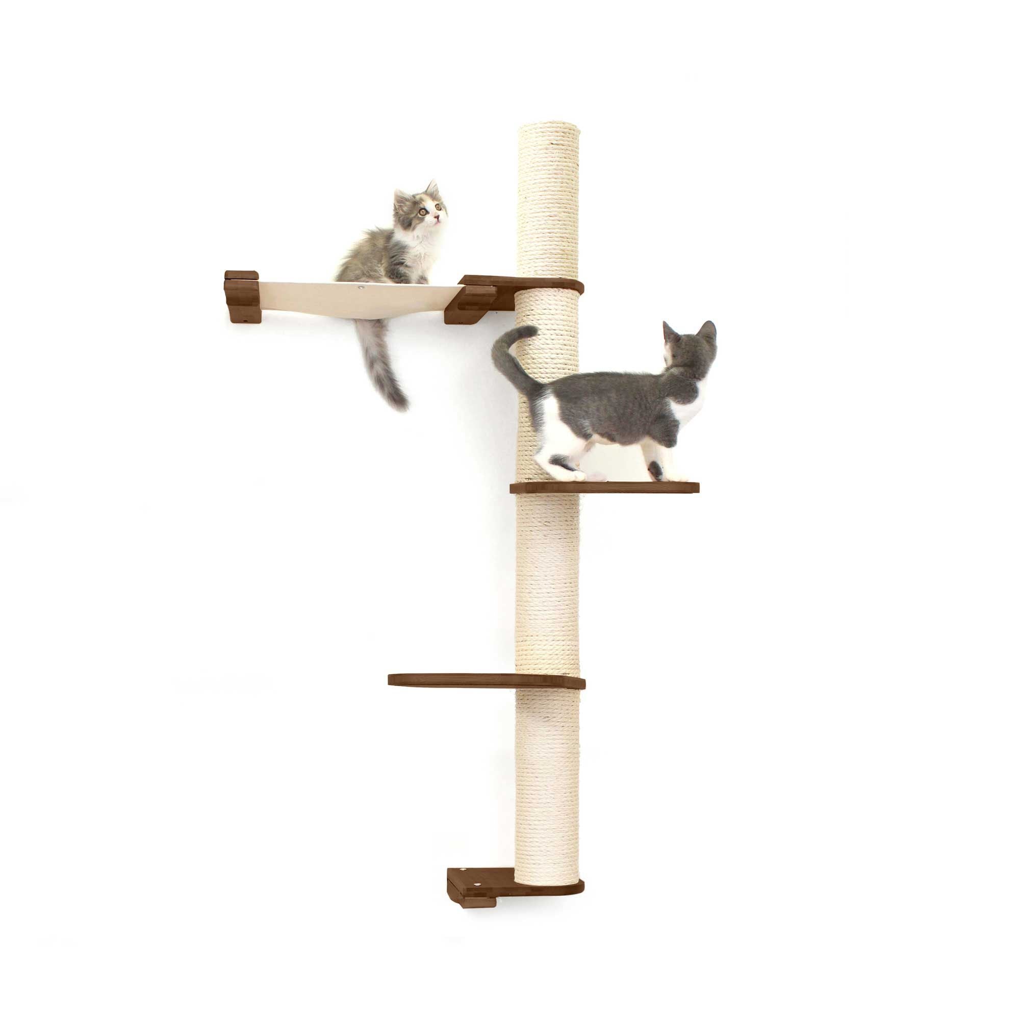Cats on Crows Nest