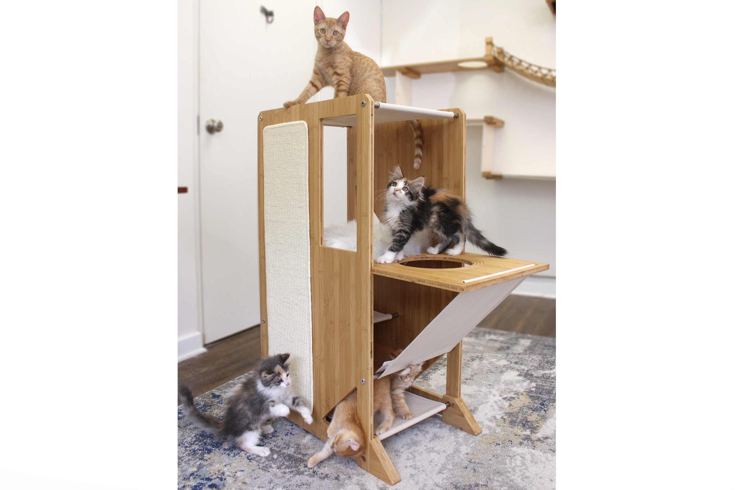 Cats on the Overlook Cat Tree with Window Panel upgrade