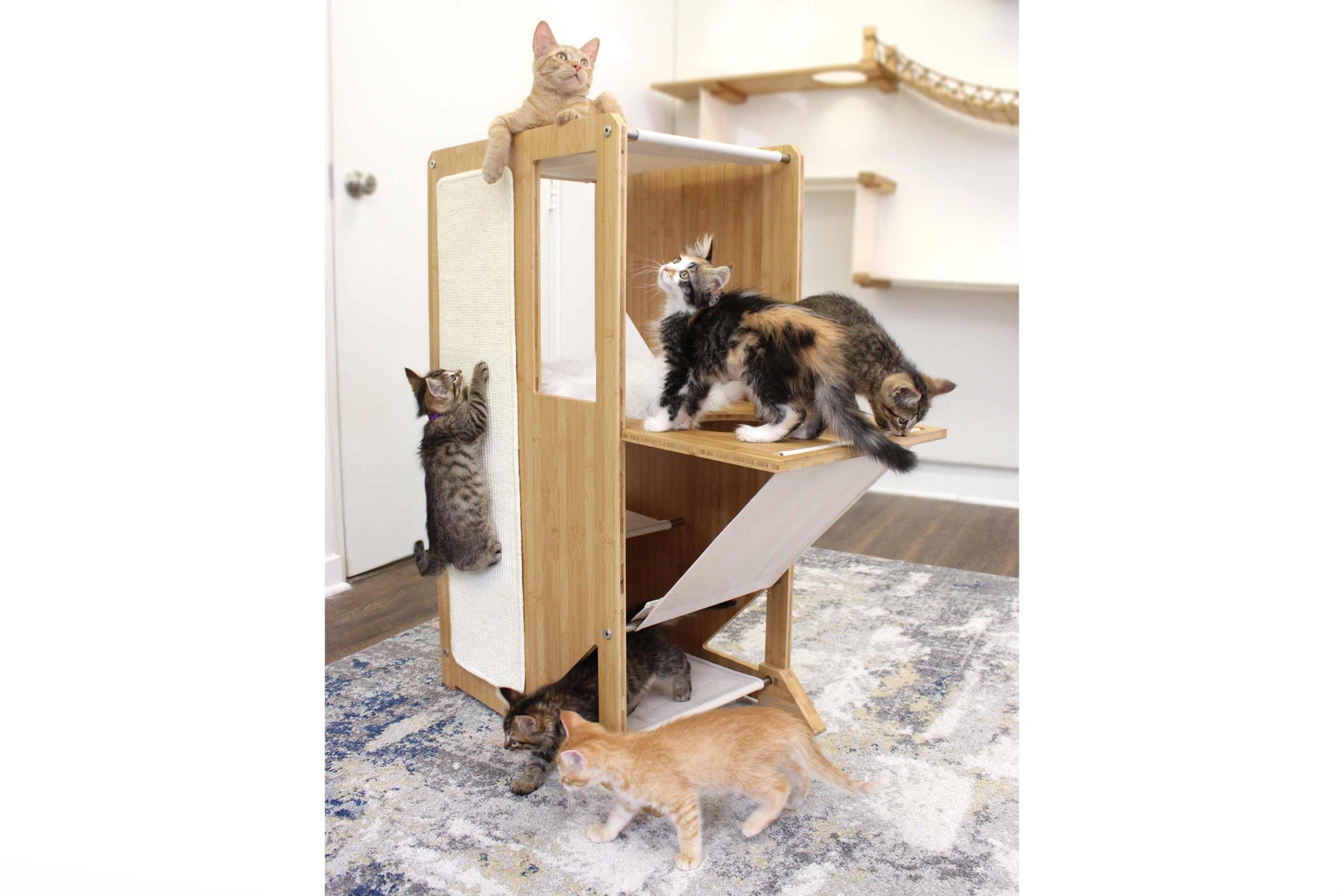 Cats using the Overlook Cat Tree with Window Panel upgrade
