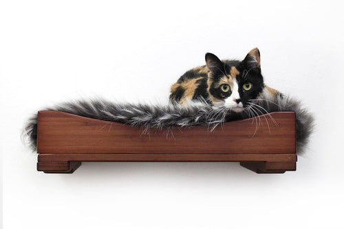 Cat on Nest Bed