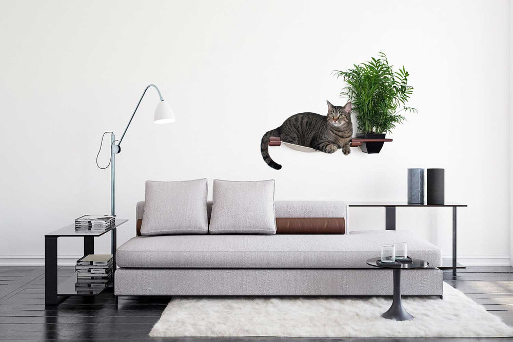 Tabby cat lounging about on 25" Planter Lounge in English Chestnut finish bamboo and Natural canvas fabric hammock installed over a low sofa in a neutral-toned living space.