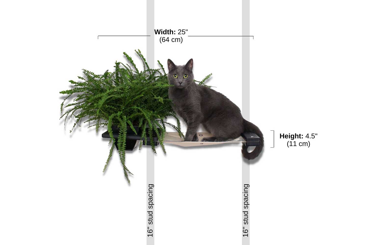 Diagram depicting installation of 25" Planter Lounge in Onyx finish bamboo and Natural canvas fabric hammock on a wall with 16" stud spacing. Fluffy grey cat not included.