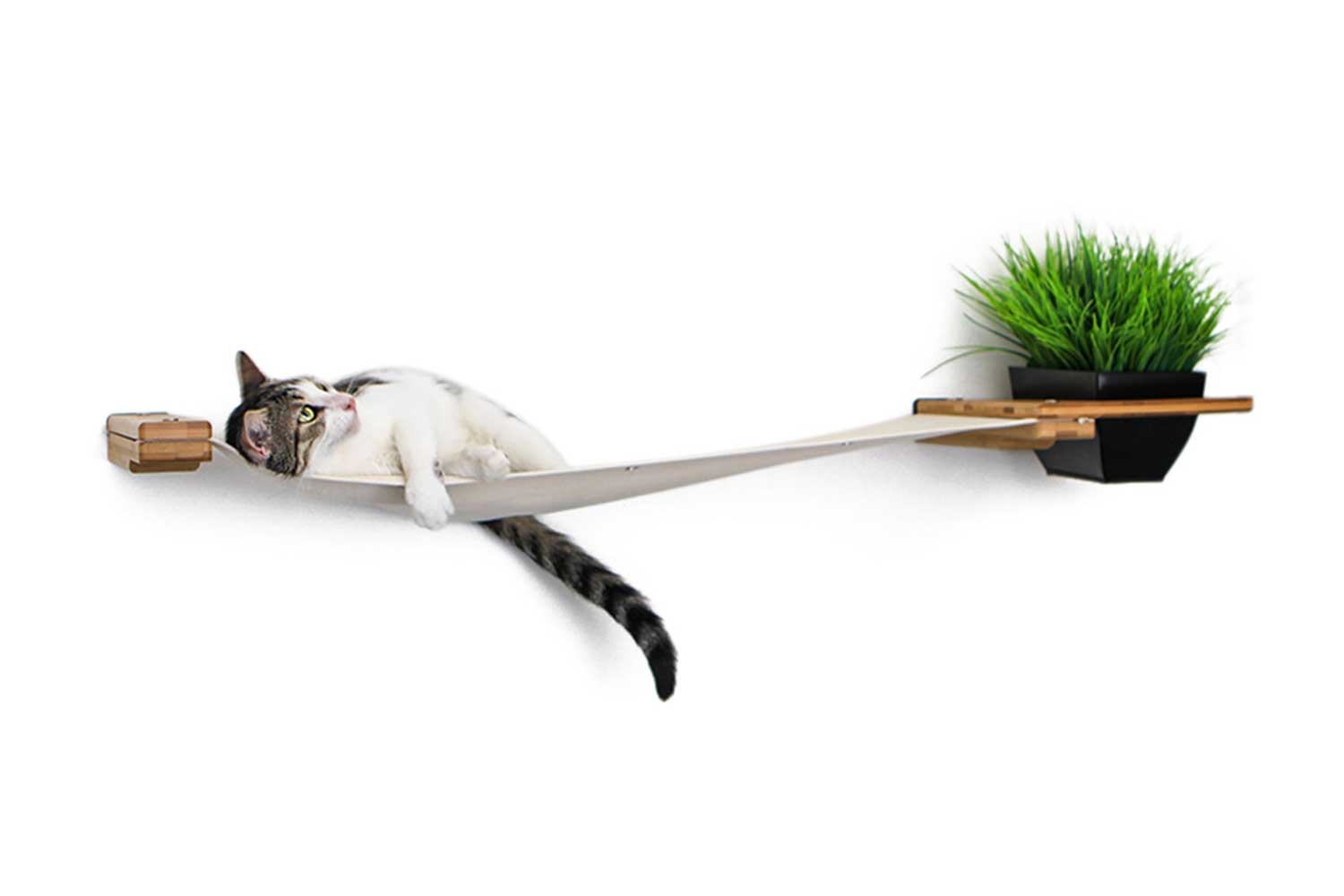 hanging cat planter Cat Hammock Wall with Planter