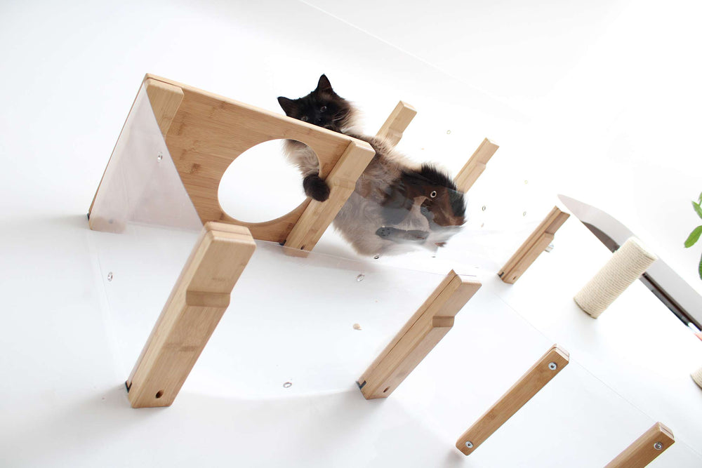 View of a cat from underneath an Invisible Play Cat Condo