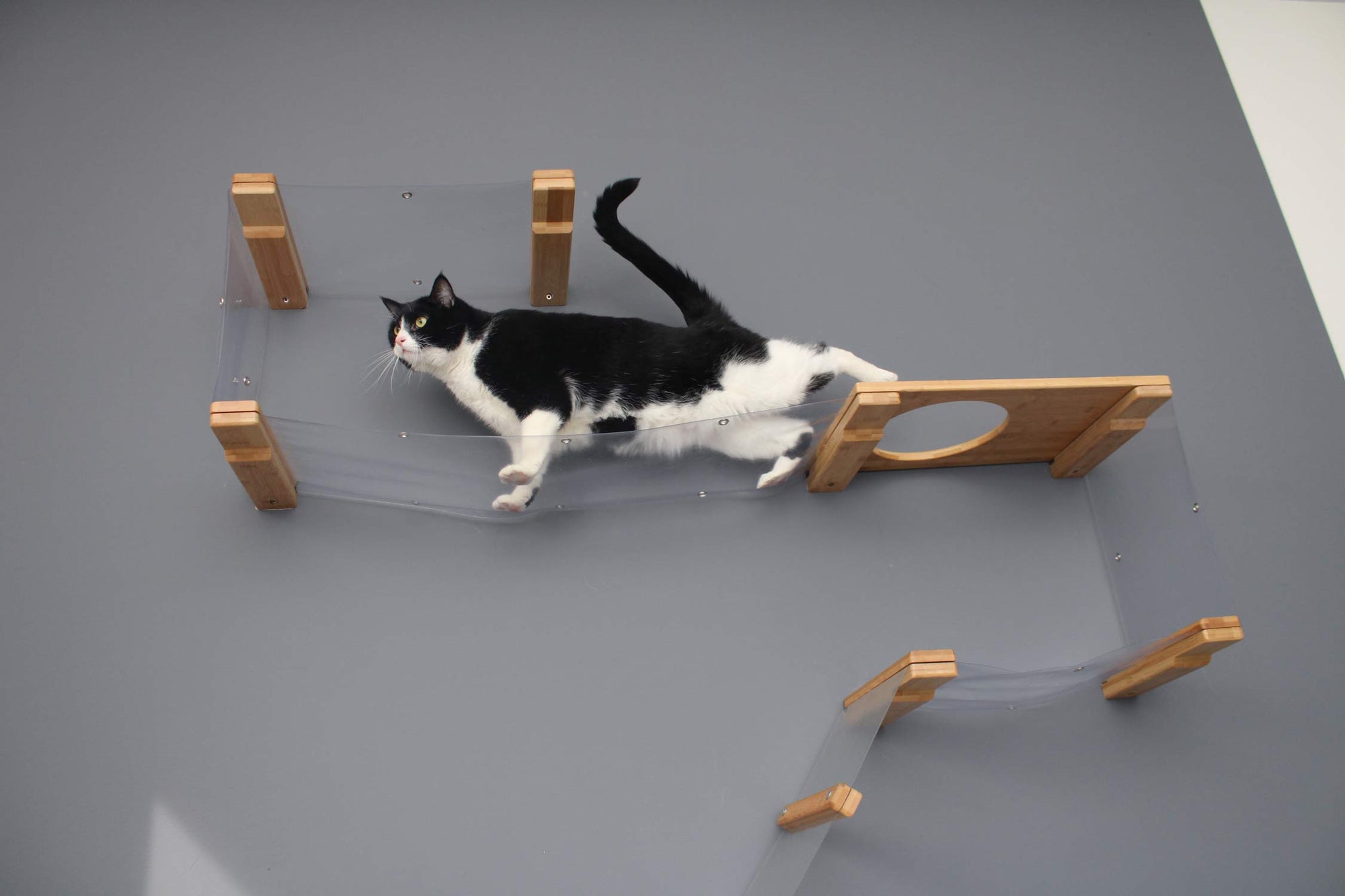 A cat stretching on an Invisible Play Cat Condo against a gray wall