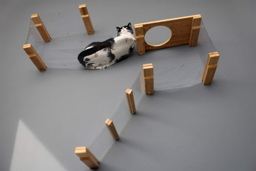 A spectacular view of a cats squished stomach and toes from underneath an Invisible Play Cat Condo