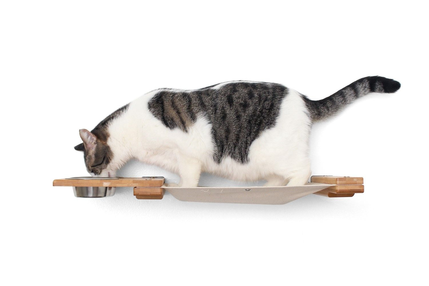 Cat eating on Feeder Hammock with dishes