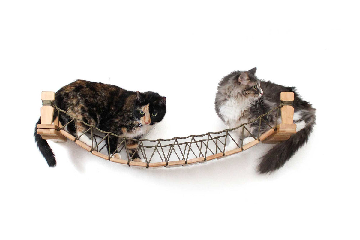 Catas Bridge The Cat Bridge Lounge for Wall | Catastrophic Creations