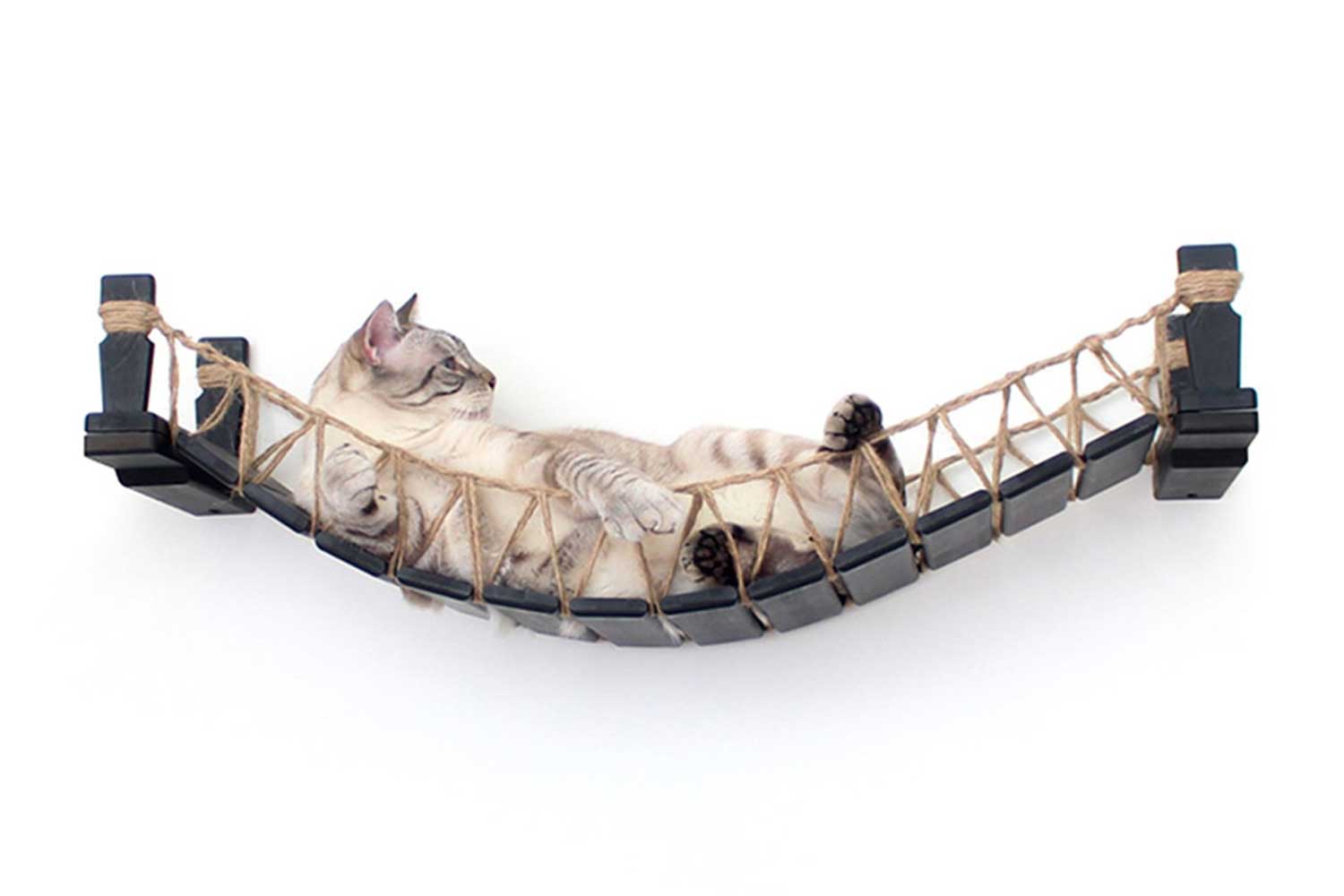 Lovely kitty lounging about on 34" Onyx/Twine bridge.
