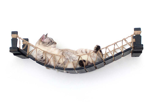 cat lounging on a bridge