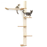 Cats on Crows Nest