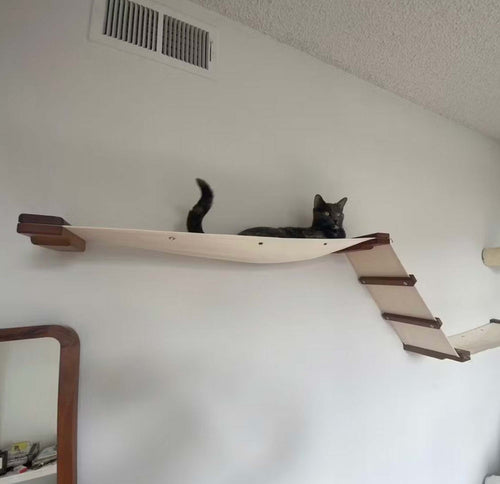 cat laying on a cat hammock