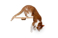 cat getting off the 12" Fabric Shelf