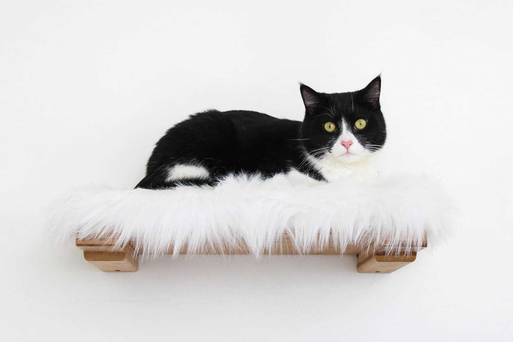 Cat on a Shelf with Plush Bed