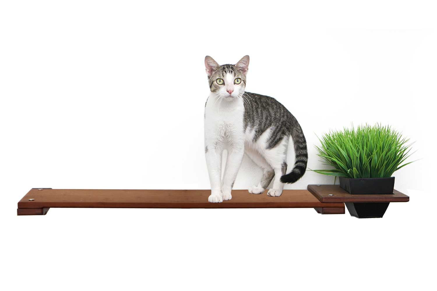 cat plant pot hanger Cat Plant Stand for Wall