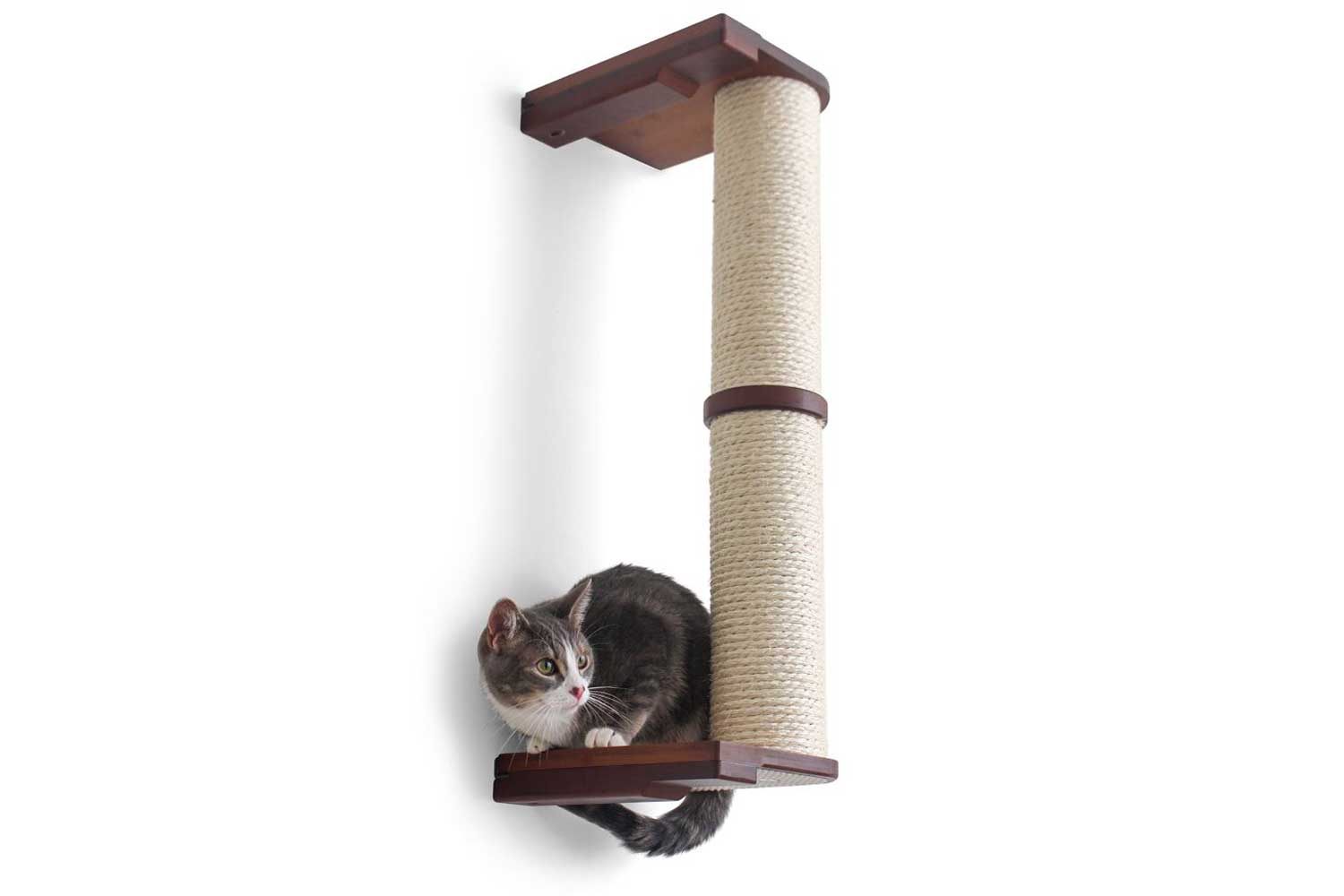 Grey and white tabby cat hiding behind bottom pole of 2-tier Scratching Pole pictured in English Chestnut.
