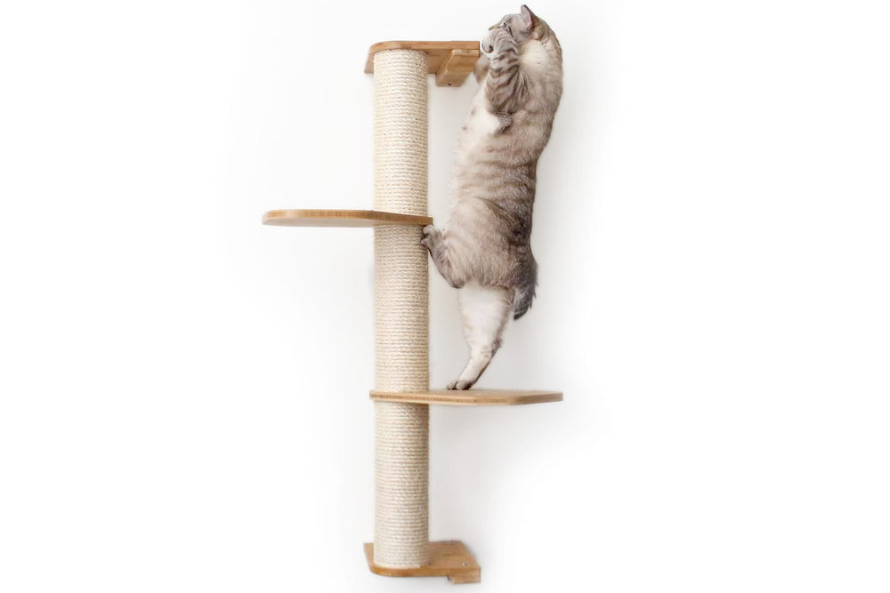 Cat climbing to the top of a 3 Tier Cat Scratching Pole with Leaf Shelf additions