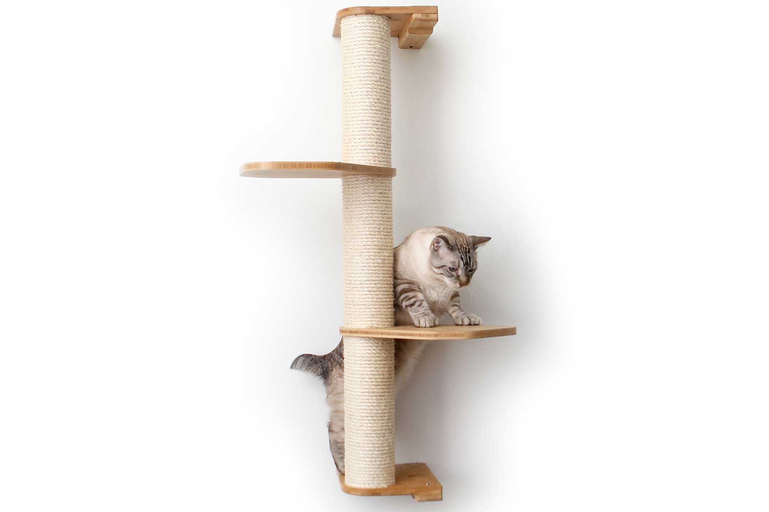 Bobtail cat climbs onto first level of Deluxe 3-tier Sisal Pole. Pictured in Natural.