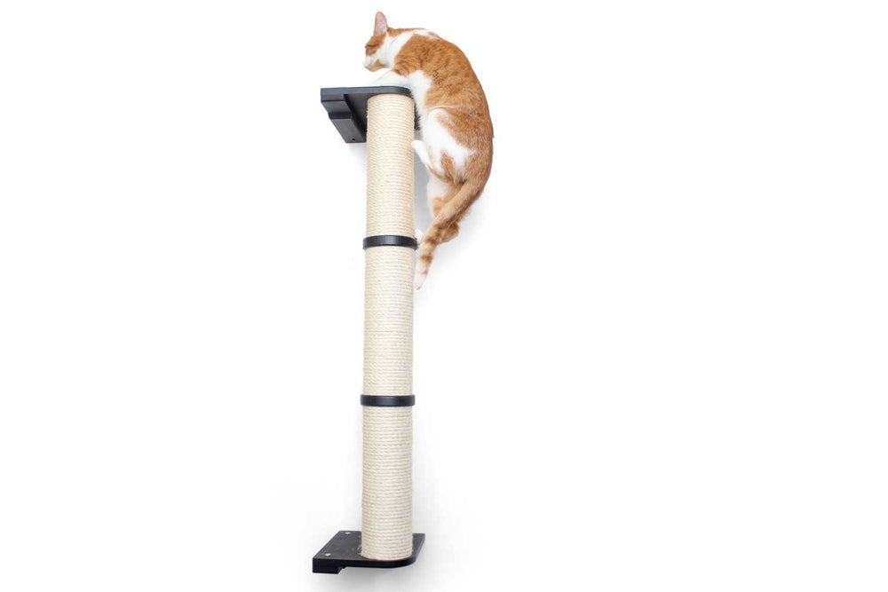Creamsicle cat climbs up an Onyx 3-tier Scratching Pole.