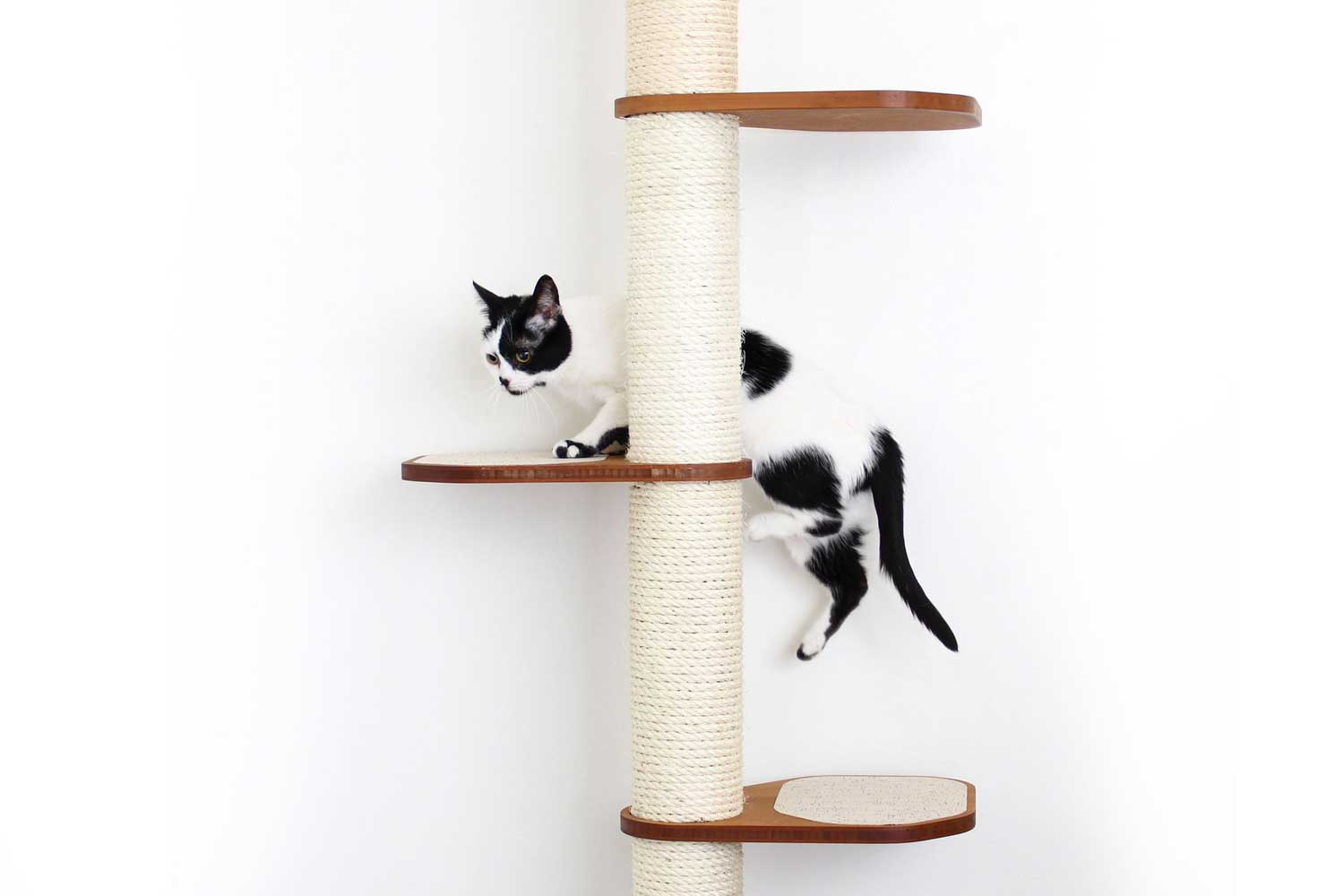 Black and white cat climbing onto middle of three English Chestnut Leaf Shelves on a 4-tier Deluxe Sisal Pole.