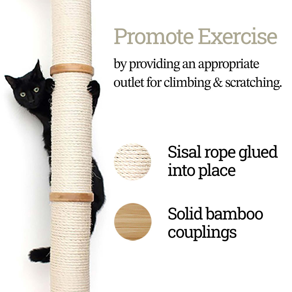 Photo text describes how the Cat Scratching Pole helps to promote exercise. It also describes the steps taken to create a sturdy product.