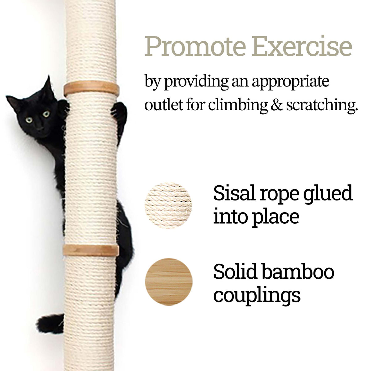 Cat Climbing Pole (Wall Mounted)