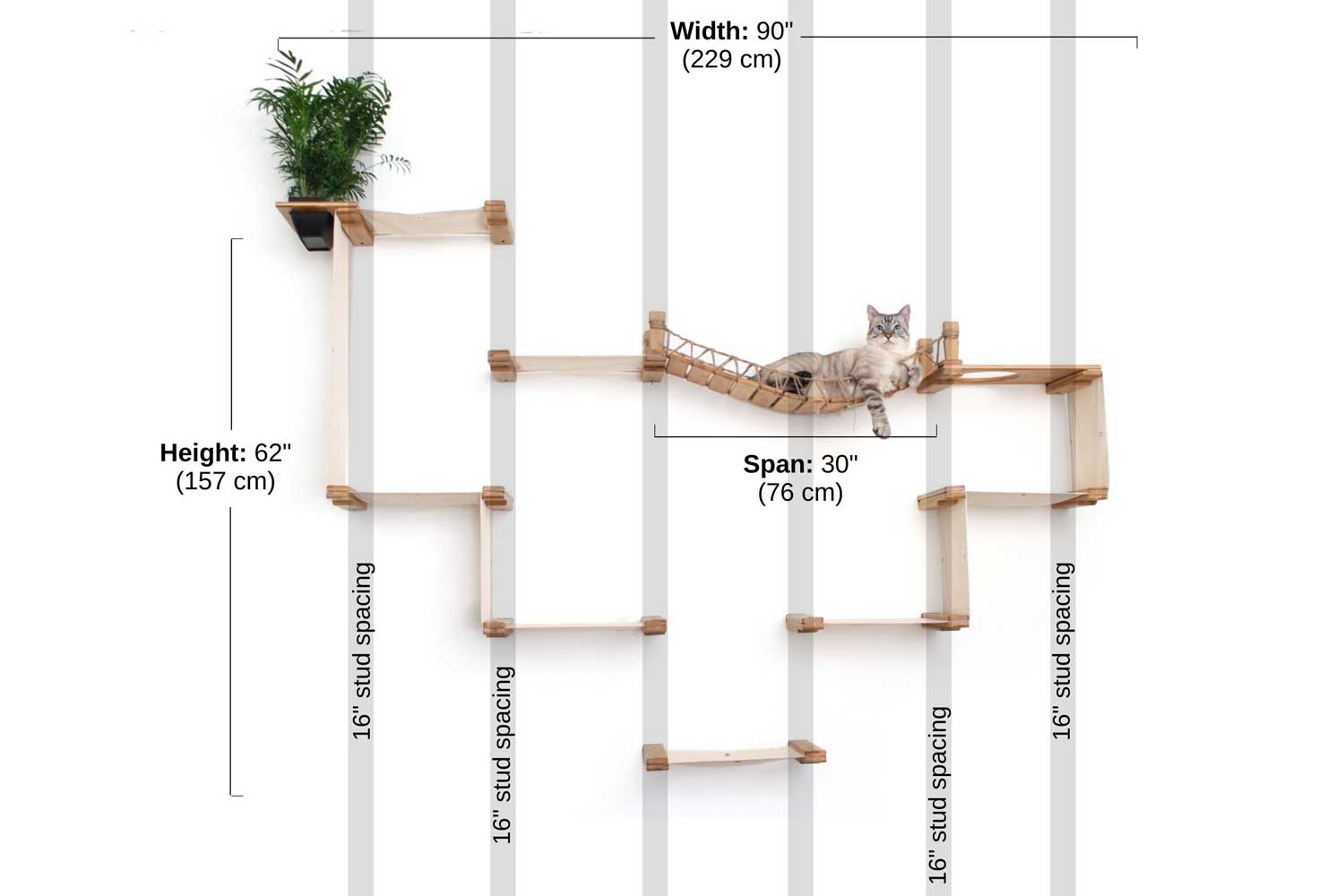 The Temple Cat Condo measurement photo