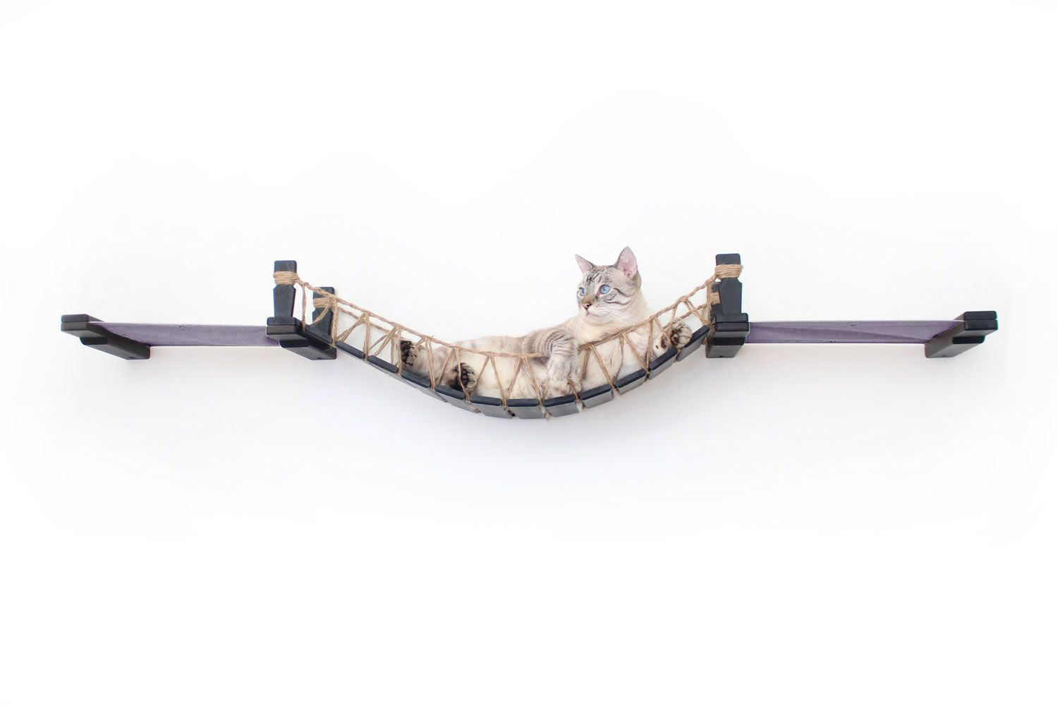 Cat on Bridge Lounge