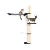 Cats on Crows Nest