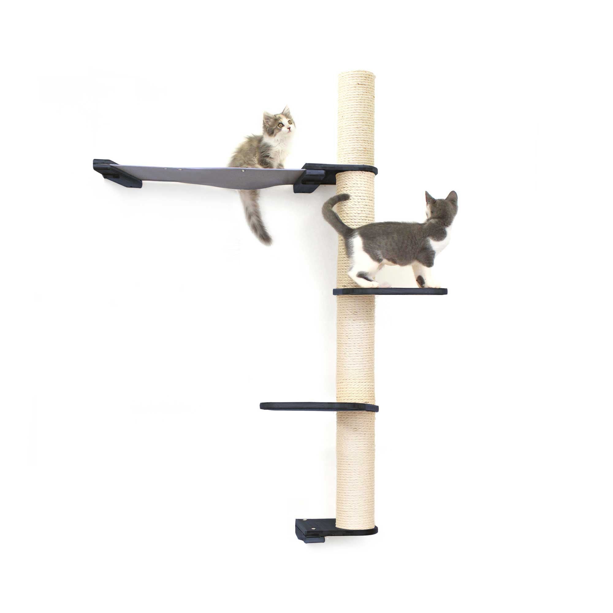 Cats on Crows Nest
