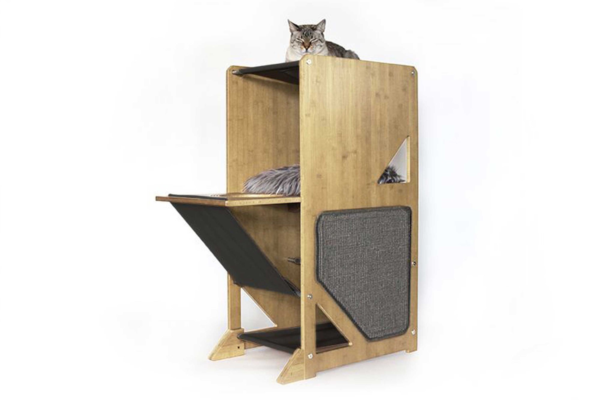 Cat on Overlook Cat Tree