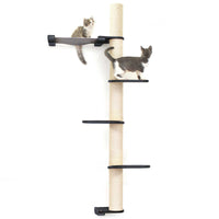 Cats on Crows Nest