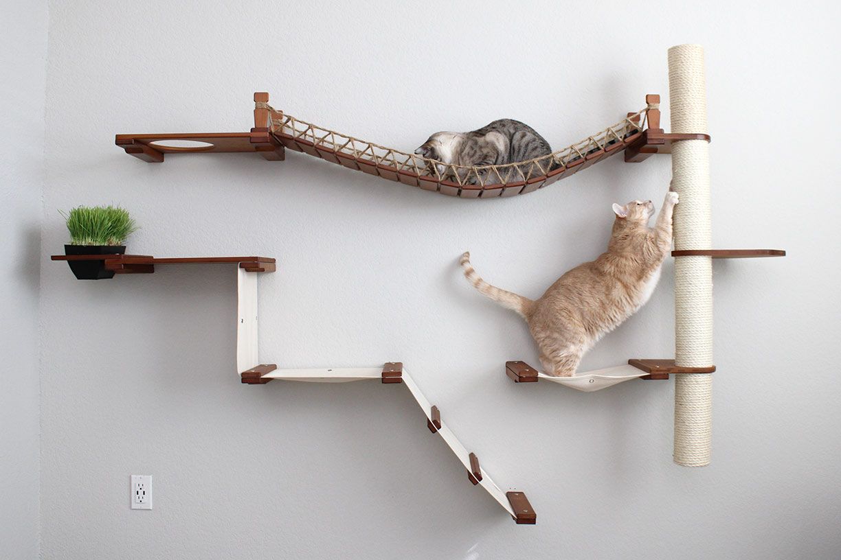 Two cats enjoying lounging and stretching on the English Chestnut Expedition Cat Tree with Natural Canvas Hammocks