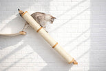 Cat climbing a cylindrical cat scratcher against a white brick wall.