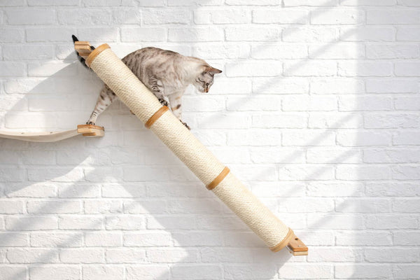 Cat climbing a cylindrical cat scratcher against a white brick wall.