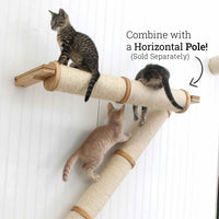 cats climbing on scratching poles