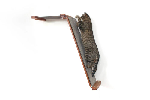 cat climbing up sisal mat