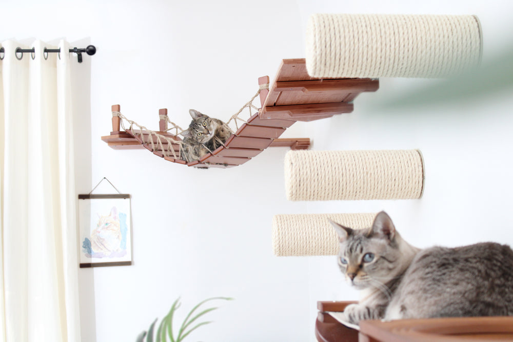 two cats lounging and peering curiously at the photographer from the comfort of a corner cat bridge and canvas cat hammock