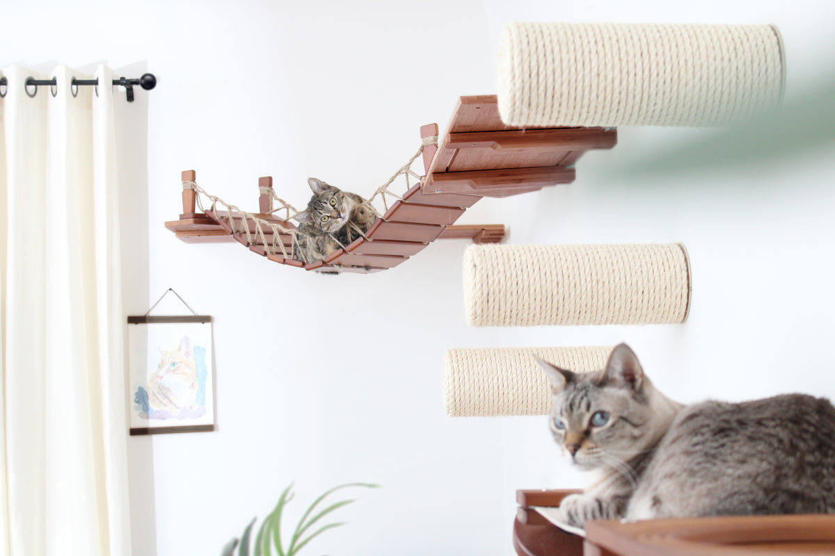 Catas Bridge The Corner Cat Bridge