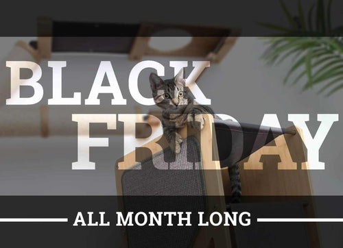 Graphic of "Black Friday All Month Long" overlaying a photo of a kitten laying on the Grotto Cat Tree with the Plateau Cat Condo in the background 