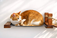 Cat lying on a wall hammock against a white background