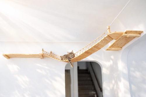 Bamboo corner cat bridge with cat laying along the bridge slats. 