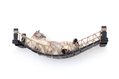 Cat lying on Onyx/Twine bridge.