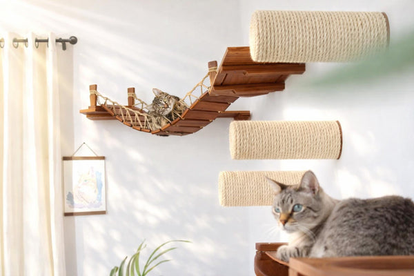 Cat playing with a wooden climbing shelf and sisal-wrapped posts in a home setting.