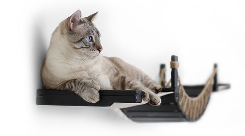 Large cat laying on a cat hammock attached to a cat bridge